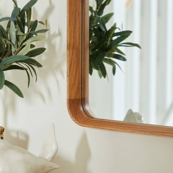 Elements Squoval Wall Mirror