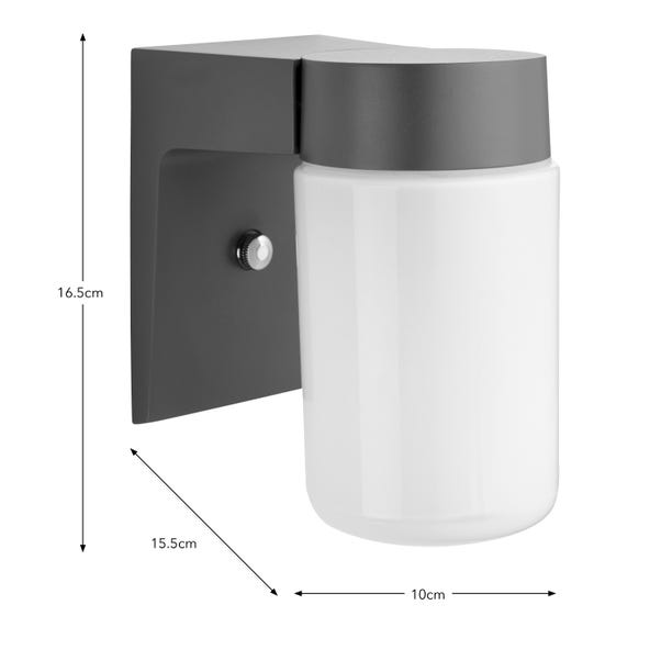 Elements Taylor Industrial Outdoor Wall Light