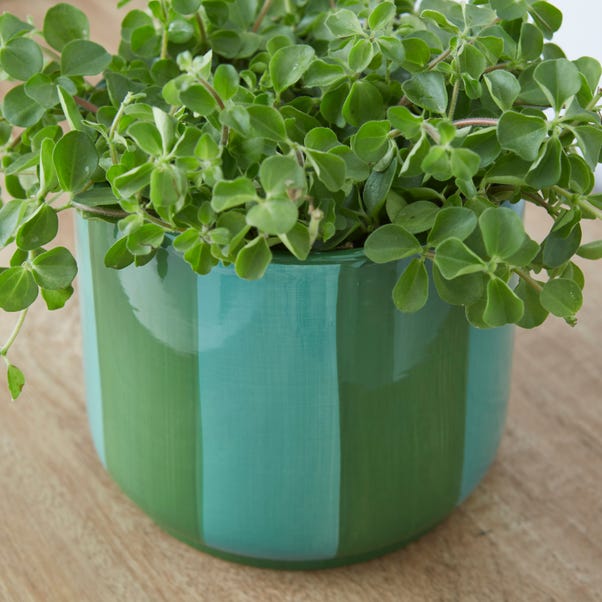 Elements Striped Ceramic Plant Pot